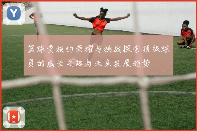 篮球贵族的荣耀与挑战探索顶级球员的成长之路与未来发展趋势